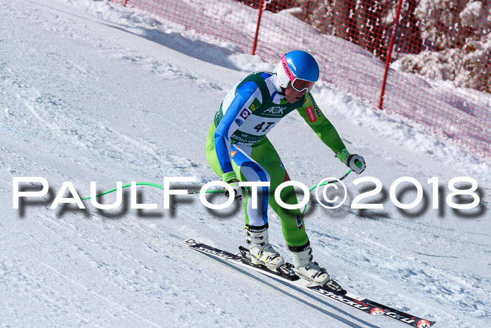 FIS, Int. Dt. Meisterschaft Abfahrt, Training, NC, NJC Damen + Herren, 22.03.2018