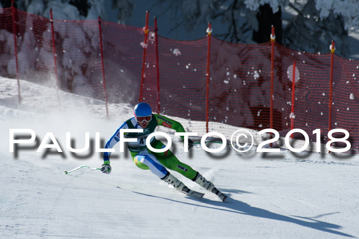 FIS, Int. Dt. Meisterschaft Abfahrt, Training, NC, NJC Damen + Herren, 22.03.2018