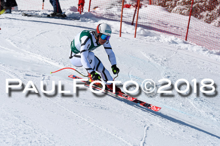 FIS, Int. Dt. Meisterschaft Abfahrt, Training, NC, NJC Damen + Herren, 22.03.2018