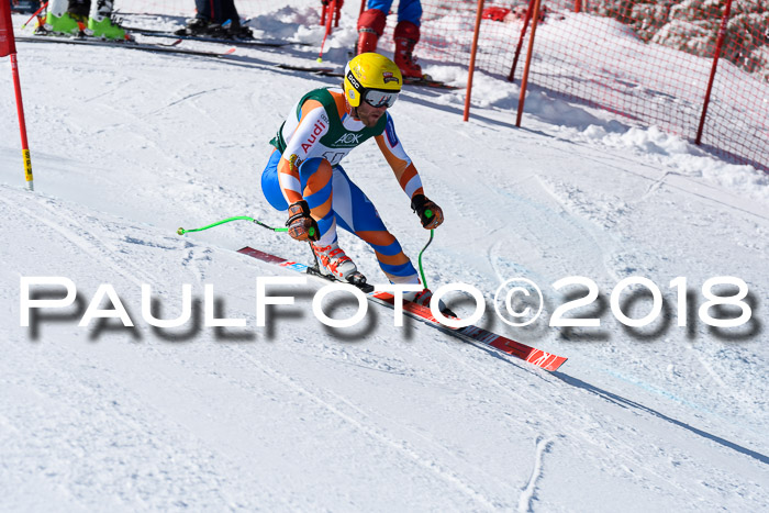 FIS, Int. Dt. Meisterschaft Abfahrt, Training, NC, NJC Damen + Herren, 22.03.2018