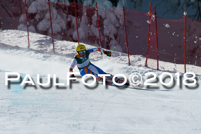 FIS, Int. Dt. Meisterschaft Abfahrt, Training, NC, NJC Damen + Herren, 22.03.2018