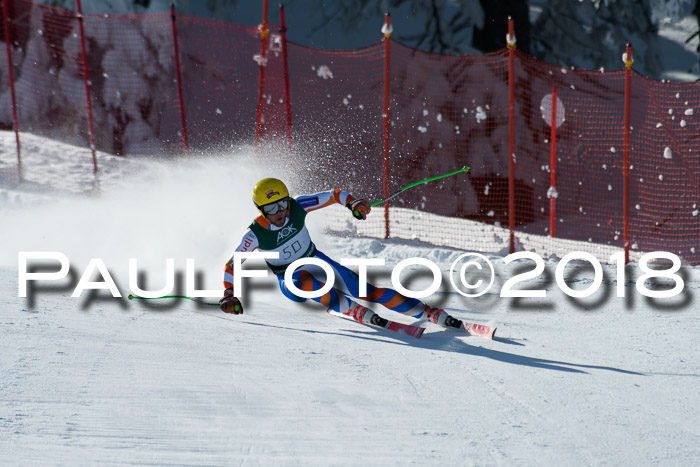 FIS, Int. Dt. Meisterschaft Abfahrt, Training, NC, NJC Damen + Herren, 22.03.2018