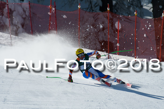 FIS, Int. Dt. Meisterschaft Abfahrt, Training, NC, NJC Damen + Herren, 22.03.2018