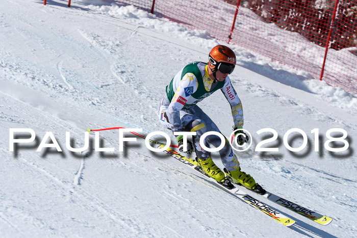FIS, Int. Dt. Meisterschaft Abfahrt, Training, NC, NJC Damen + Herren, 22.03.2018