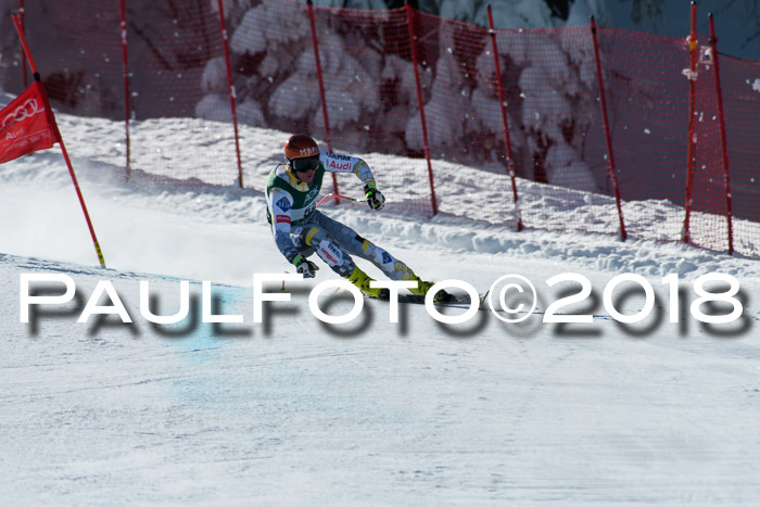 FIS, Int. Dt. Meisterschaft Abfahrt, Training, NC, NJC Damen + Herren, 22.03.2018