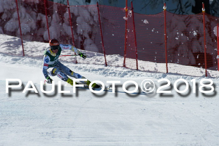 FIS, Int. Dt. Meisterschaft Abfahrt, Training, NC, NJC Damen + Herren, 22.03.2018