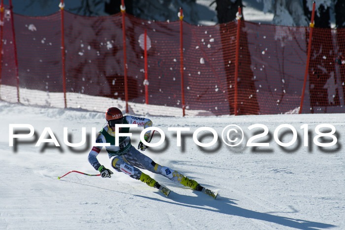FIS, Int. Dt. Meisterschaft Abfahrt, Training, NC, NJC Damen + Herren, 22.03.2018