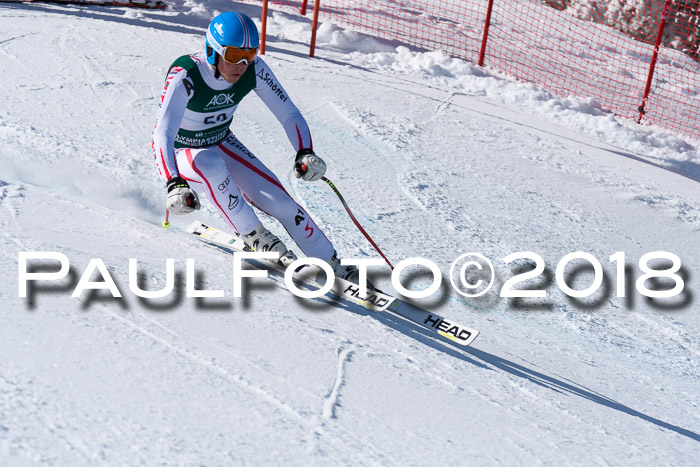 FIS, Int. Dt. Meisterschaft Abfahrt, Training, NC, NJC Damen + Herren, 22.03.2018
