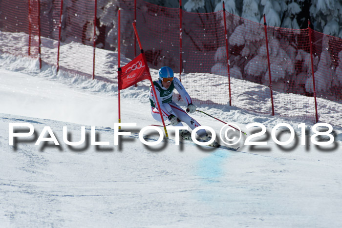 FIS, Int. Dt. Meisterschaft Abfahrt, Training, NC, NJC Damen + Herren, 22.03.2018