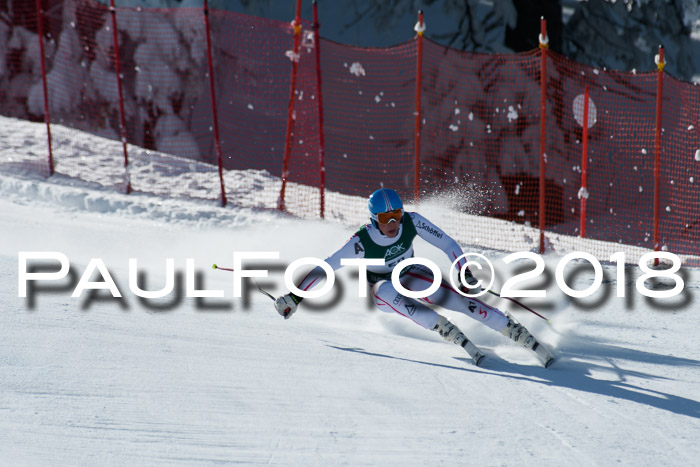 FIS, Int. Dt. Meisterschaft Abfahrt, Training, NC, NJC Damen + Herren, 22.03.2018