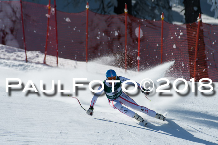 FIS, Int. Dt. Meisterschaft Abfahrt, Training, NC, NJC Damen + Herren, 22.03.2018