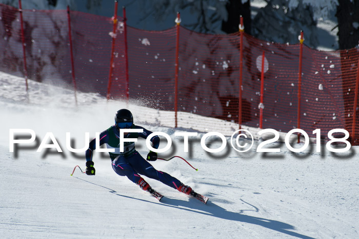 FIS, Int. Dt. Meisterschaft Abfahrt, Training, NC, NJC Damen + Herren, 22.03.2018