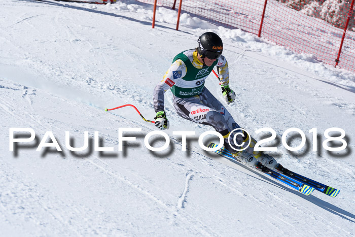 FIS, Int. Dt. Meisterschaft Abfahrt, Training, NC, NJC Damen + Herren, 22.03.2018