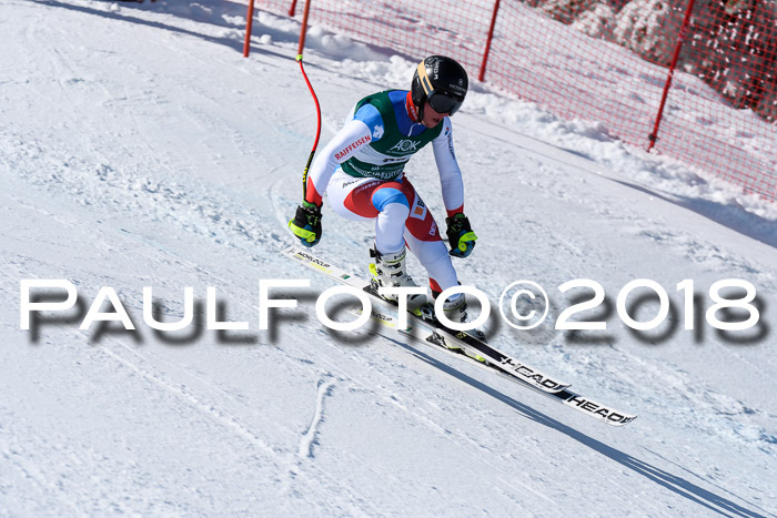 FIS, Int. Dt. Meisterschaft Abfahrt, Training, NC, NJC Damen + Herren, 22.03.2018