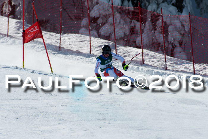 FIS, Int. Dt. Meisterschaft Abfahrt, Training, NC, NJC Damen + Herren, 22.03.2018