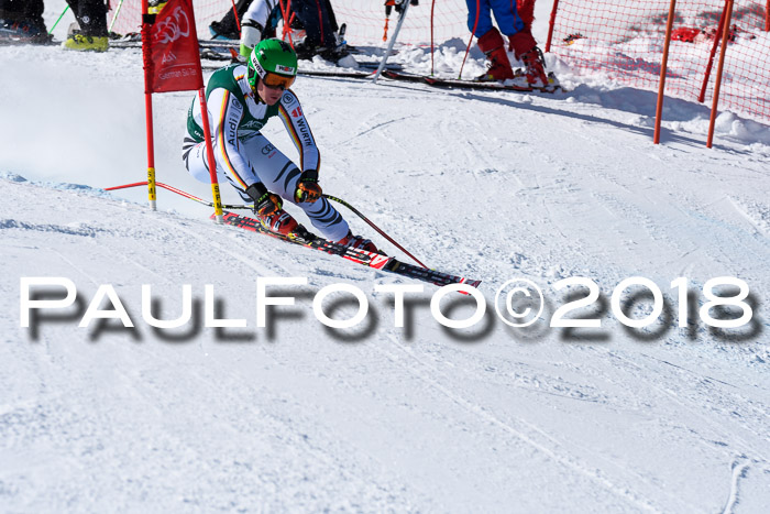 FIS, Int. Dt. Meisterschaft Abfahrt, Training, NC, NJC Damen + Herren, 22.03.2018