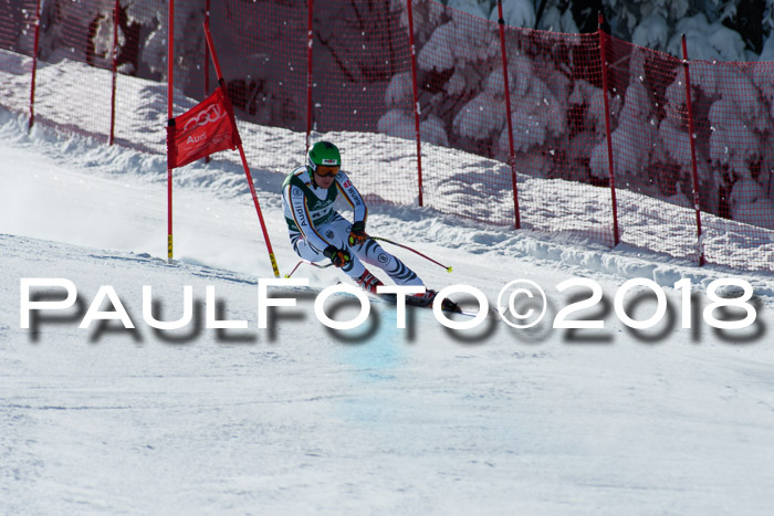 FIS, Int. Dt. Meisterschaft Abfahrt, Training, NC, NJC Damen + Herren, 22.03.2018