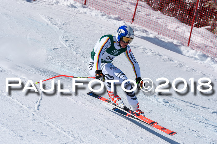 FIS, Int. Dt. Meisterschaft Abfahrt, Training, NC, NJC Damen + Herren, 22.03.2018