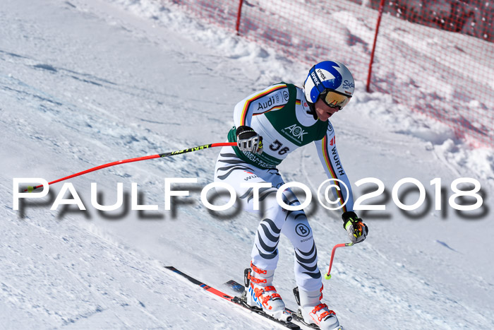 FIS, Int. Dt. Meisterschaft Abfahrt, Training, NC, NJC Damen + Herren, 22.03.2018