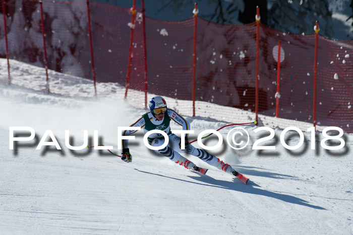 FIS, Int. Dt. Meisterschaft Abfahrt, Training, NC, NJC Damen + Herren, 22.03.2018