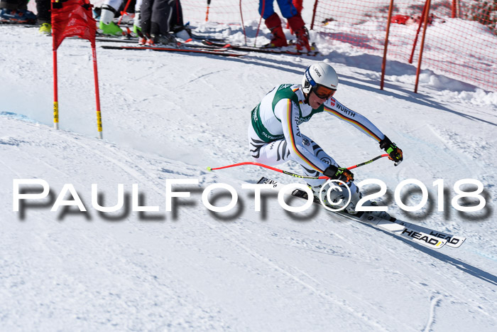 FIS, Int. Dt. Meisterschaft Abfahrt, Training, NC, NJC Damen + Herren, 22.03.2018