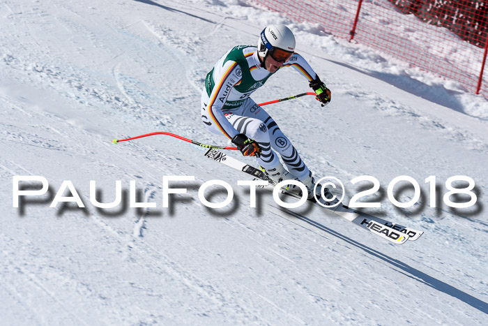 FIS, Int. Dt. Meisterschaft Abfahrt, Training, NC, NJC Damen + Herren, 22.03.2018