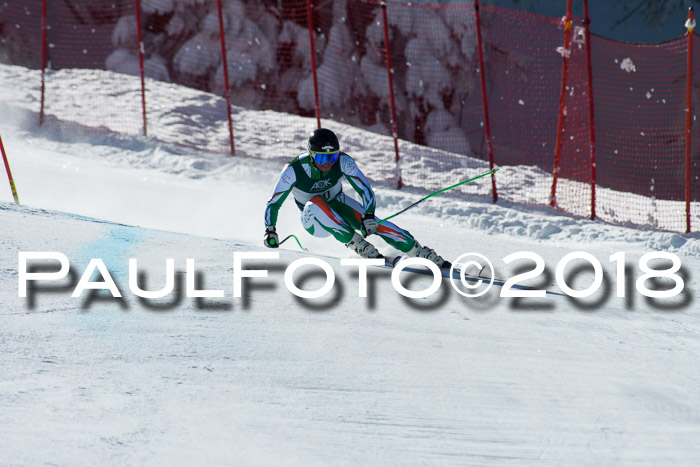 FIS, Int. Dt. Meisterschaft Abfahrt, Training, NC, NJC Damen + Herren, 22.03.2018