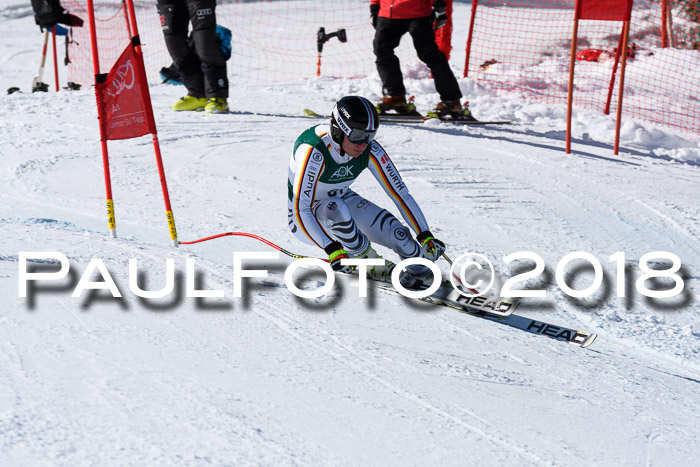 FIS, Int. Dt. Meisterschaft Abfahrt, Training, NC, NJC Damen + Herren, 22.03.2018