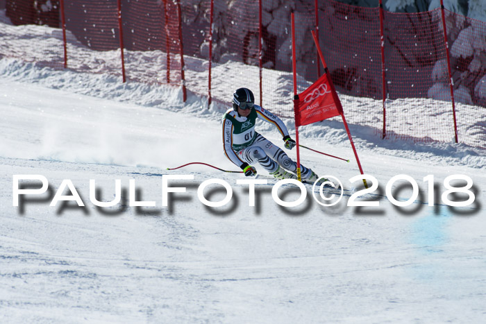 FIS, Int. Dt. Meisterschaft Abfahrt, Training, NC, NJC Damen + Herren, 22.03.2018