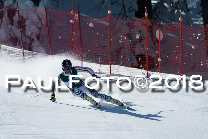 FIS, Int. Dt. Meisterschaft Abfahrt, Training, NC, NJC Damen + Herren, 22.03.2018