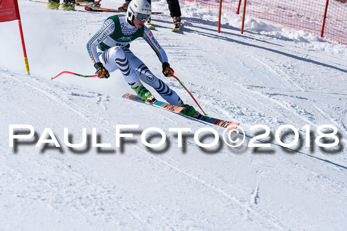 FIS, Int. Dt. Meisterschaft Abfahrt, Training, NC, NJC Damen + Herren, 22.03.2018