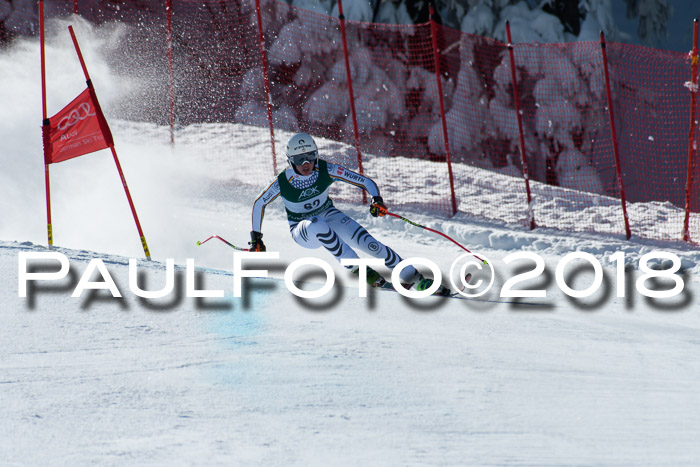 FIS, Int. Dt. Meisterschaft Abfahrt, Training, NC, NJC Damen + Herren, 22.03.2018