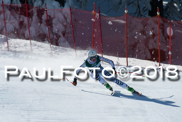 FIS, Int. Dt. Meisterschaft Abfahrt, Training, NC, NJC Damen + Herren, 22.03.2018