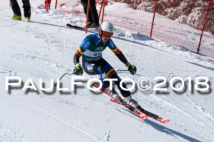FIS, Int. Dt. Meisterschaft Abfahrt, Training, NC, NJC Damen + Herren, 22.03.2018