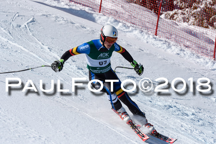 FIS, Int. Dt. Meisterschaft Abfahrt, Training, NC, NJC Damen + Herren, 22.03.2018