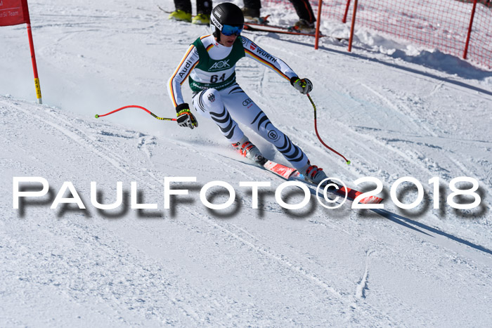 FIS, Int. Dt. Meisterschaft Abfahrt, Training, NC, NJC Damen + Herren, 22.03.2018