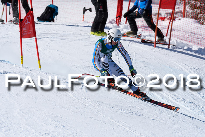 FIS, Int. Dt. Meisterschaft Abfahrt, Training, NC, NJC Damen + Herren, 22.03.2018