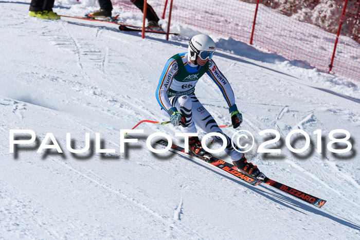 FIS, Int. Dt. Meisterschaft Abfahrt, Training, NC, NJC Damen + Herren, 22.03.2018