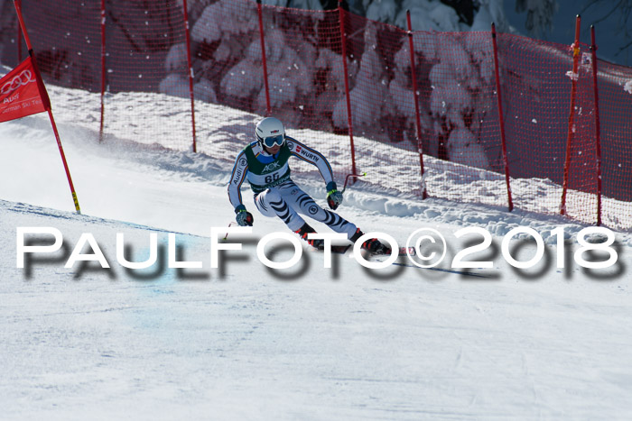 FIS, Int. Dt. Meisterschaft Abfahrt, Training, NC, NJC Damen + Herren, 22.03.2018