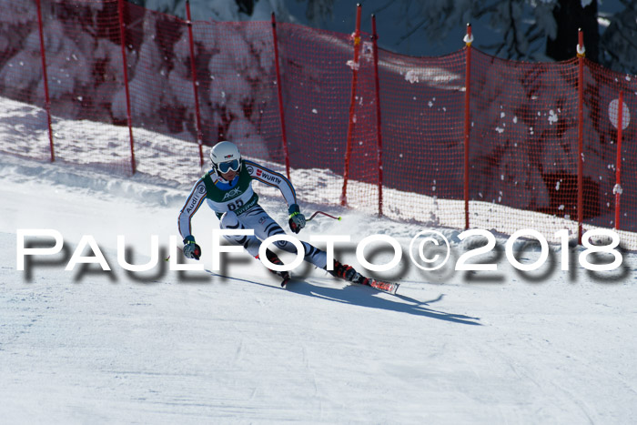 FIS, Int. Dt. Meisterschaft Abfahrt, Training, NC, NJC Damen + Herren, 22.03.2018