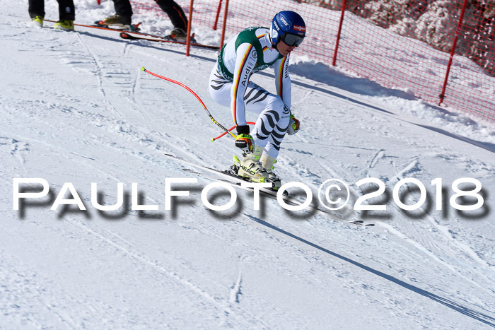 FIS, Int. Dt. Meisterschaft Abfahrt, Training, NC, NJC Damen + Herren, 22.03.2018