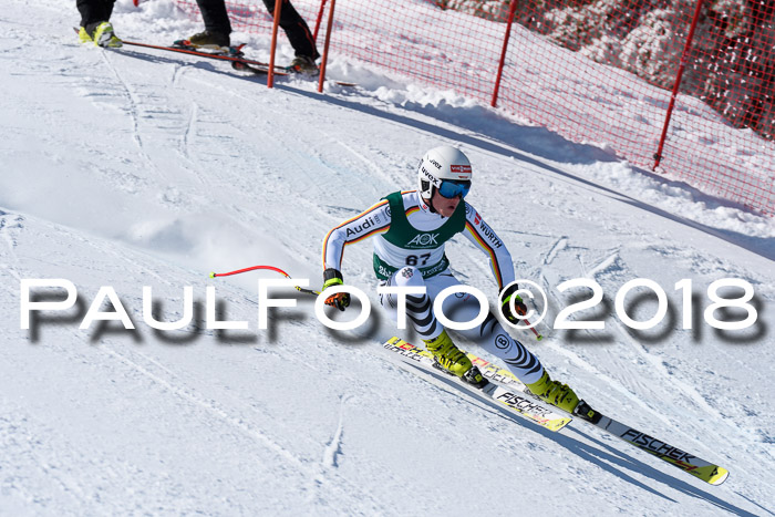 FIS, Int. Dt. Meisterschaft Abfahrt, Training, NC, NJC Damen + Herren, 22.03.2018