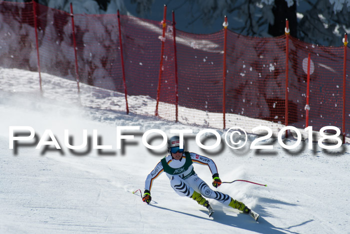 FIS, Int. Dt. Meisterschaft Abfahrt, Training, NC, NJC Damen + Herren, 22.03.2018