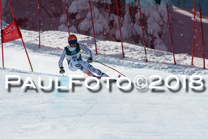 FIS, Int. Dt. Meisterschaft Abfahrt, Training, NC, NJC Damen + Herren, 22.03.2018