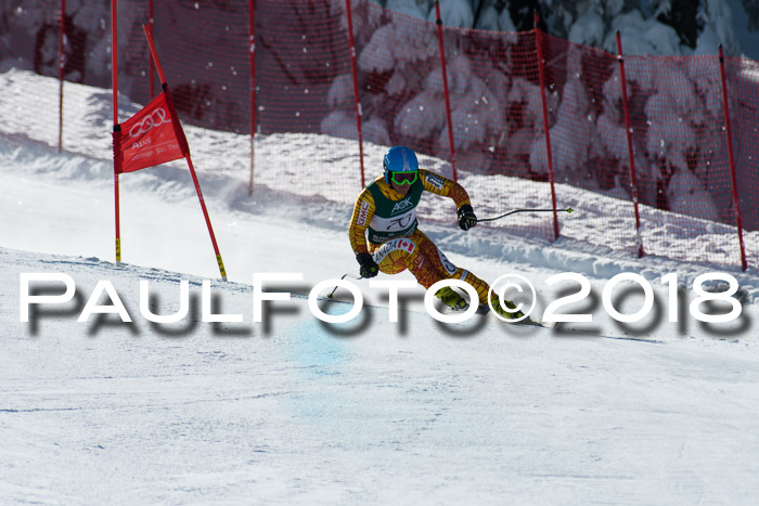 FIS, Int. Dt. Meisterschaft Abfahrt, Training, NC, NJC Damen + Herren, 22.03.2018