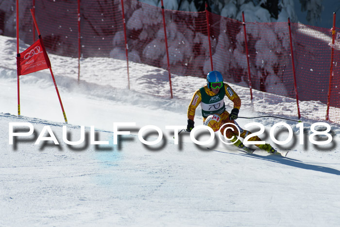 FIS, Int. Dt. Meisterschaft Abfahrt, Training, NC, NJC Damen + Herren, 22.03.2018
