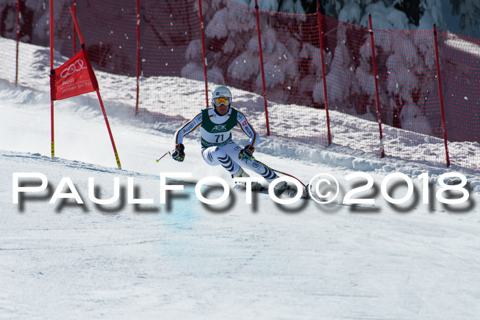 FIS, Int. Dt. Meisterschaft Abfahrt, Training, NC, NJC Damen + Herren, 22.03.2018