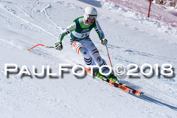 FIS, Int. Dt. Meisterschaft Abfahrt, Training, NC, NJC Damen + Herren, 22.03.2018