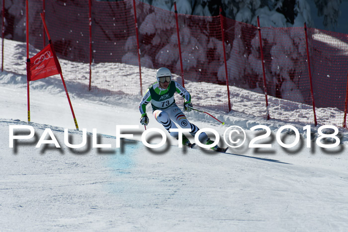 FIS, Int. Dt. Meisterschaft Abfahrt, Training, NC, NJC Damen + Herren, 22.03.2018
