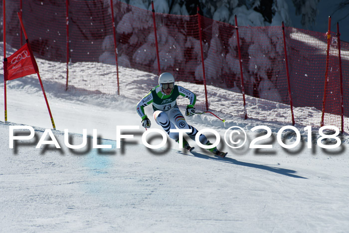 FIS, Int. Dt. Meisterschaft Abfahrt, Training, NC, NJC Damen + Herren, 22.03.2018